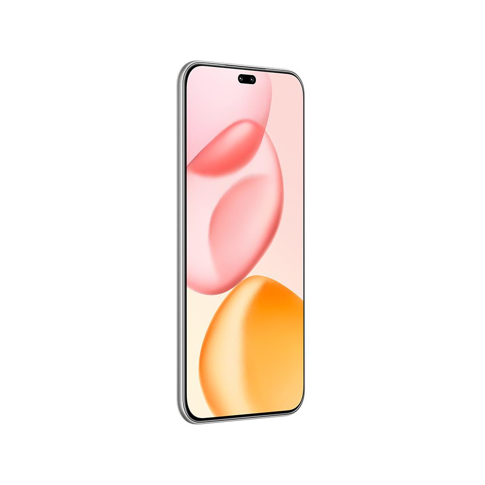 Honor 400 Pro 12 + 512 GB Akıllı Telefon Gri 15683